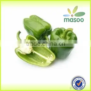 Vegetable and Fruit Exporters, Fresh Green Pepper thumbnail-1