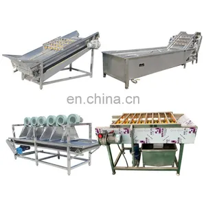 Palm Dates Processing Line Production Line Cleaning Washing Drying Machine thumbnail-3