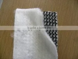 Composite Drain Net / Composite Geonet for Drainage/ Tri-planar/ 3d thumbnail-1