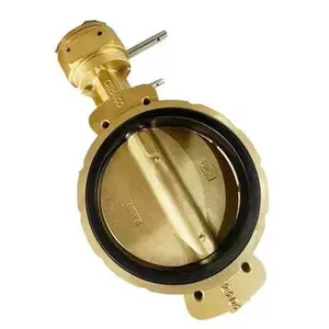 Bronze Marine Butterfly Valve Dn32 Klinketsea High Temperature PN10-PN16 General Electric Manual Directional Valve JRVAL thumbnail-1