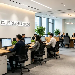 Beiliyuan (Wuhan) Automation Equipment Co., Ltd. company overview - view 1 thumbnail