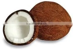 Fresh Semi Husk Coconuts thumbnail-1