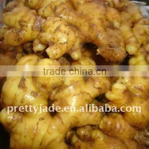 Supply Fresh Ginger-high Quality-low Price thumbnail-1