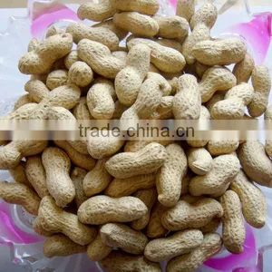 New Crop Chinese Best Price Roasted Peanut In Shell thumbnail-3