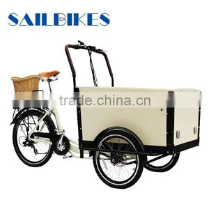 Morden Electric Cargo Trike for Family thumbnail-6