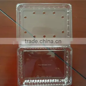 Plastic Seasonal Fruit Packaging Boxes of Different Specification thumbnail-1
