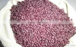 Instant Rice/golden Rice/nutritional Rice Making Machine thumbnail-3