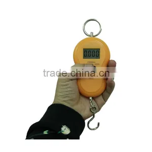 Electronic Scale Portable Electronic Scale thumbnail-1