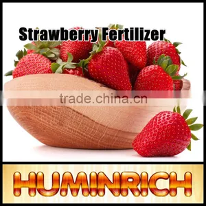 Huminrich 100% Water Fertiliser Humate Potassium Promote Growth For Strawberry thumbnail-2