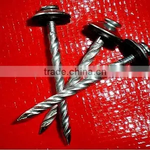 Uganda Market Surface Elcecto Galvanzied Twisted Nails thumbnail-4