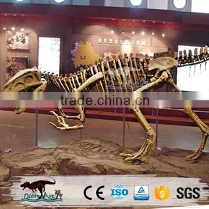 OA4082 High Quality Fossils Dinosaur thumbnail-1