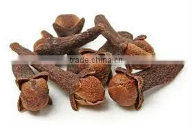 Clove thumbnail-1