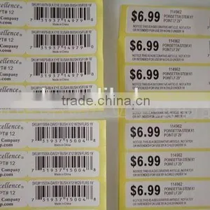 Any Shape Made Long Hold Time Adhesive Sticker Lable Printing thumbnail-3