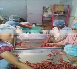 Cucku Enterprises Private Limited company overview - view 3 thumbnail