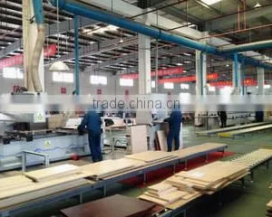 Zhejiang Shenghua Yunfeng Greeneo Co., Ltd. company overview - view 3 thumbnail