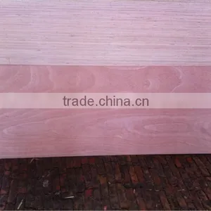 Bintangor Door Plywood thumbnail-1