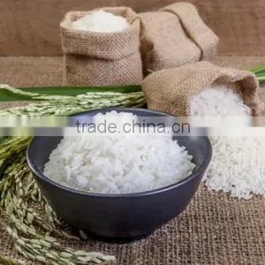 THE BEST SELLING - JASMINE WHITE RICE 5% BROKEN - VIETNAMESE RICE - HIGH QUALITY - CHEAPEST PRICE thumbnail-1