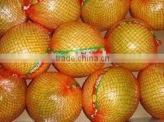 Fresh Pomelo thumbnail-1