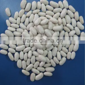 China White Bean Baishake Type thumbnail-1