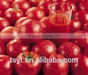 Canned Tin Tomato Paste Best Quality Biggest Producer of Tomato Paste in Carton for Different Brix 28-30% 36-38% thumbnail-6