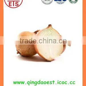 Bulk New Crop Chinse Fresh Red and Yellow Onion thumbnail-3