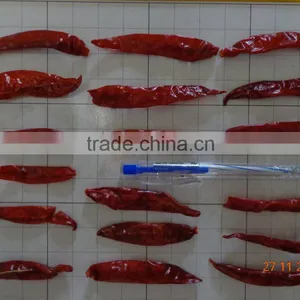 Stemless Dried Chilli thumbnail-3