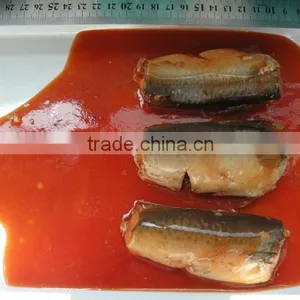 Canned Mackerel in Tomato Sauce thumbnail-3