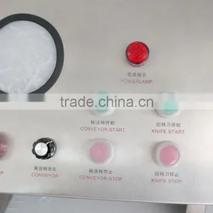 FC-319 Hot Sale Stainless Steel Bone Cutter Chopper Chopping Cutting Machine thumbnail-5