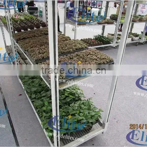 334 Glasshouse Trolley thumbnail-4