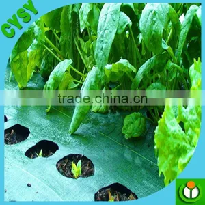 Virgin Material China Hdpe Anti Weed Mat Ground Weed Control Mat thumbnail-1