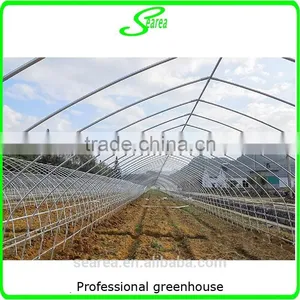 Durable Galvanized Steel Frame Greenhouse Agricultural Greenhouse thumbnail-4
