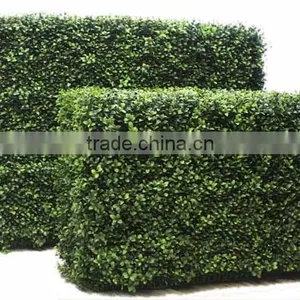 SJ0411013 Garden Decoration Artificial Plastic Milan Boxwood Hedge thumbnail-4