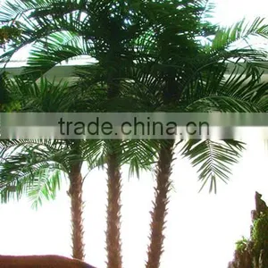 Hot Sale Artificial Date Palm Tree Fiberglass Palm Tree Sale Fake Tree thumbnail-3