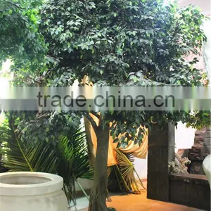 Home Garden Decoration 100cm to 1000cm Height Artificial Indoor Live Plastic Ficus Red With Green Big Palm Tree EZLS05 1016 thumbnail-2
