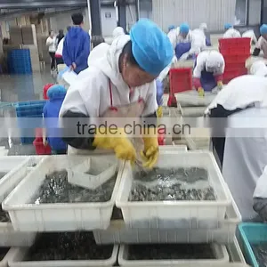 Frozen Boiled Baby Clam With Favorable Pirce thumbnail-3