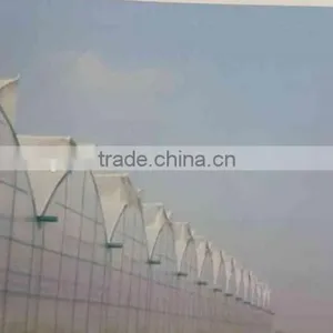 Economical Outdoor Plastic Film Greenhouse Tunnel thumbnail-1