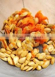 High Quality Pumpkin Seeds thumbnail-3