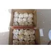 1kg Bag Jinxiang Garlic Seeds 2012 thumbnail-1