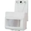 Induction Lamp P53-2 thumbnail-1