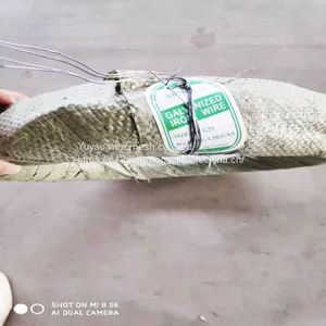 Best Price and High Quality 1mm 2mm 3mm Galvanized Iron Wire thumbnail-5