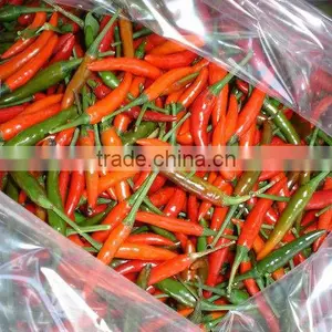 Fresh Hot Red Chili From Vietnam With Competitive Prices thumbnail-1