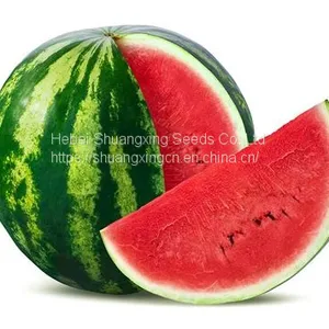 Red Flesh f1 Hybrid Watermelon Seeds thumbnail-1