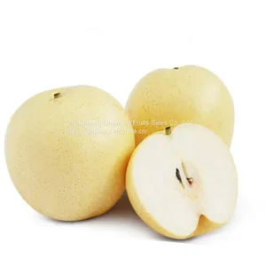 Huangguan Pear/Century Pear thumbnail-1