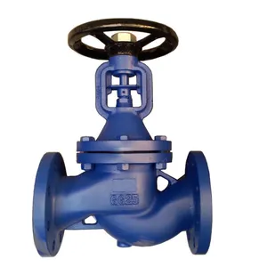Valve Factory High Quality Globe Valve DN200 PN10/16 Cast Iron GG25 Flange End Bellow Globe Valve thumbnail-1
