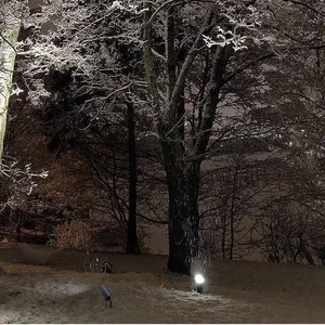 Outdoor Spotlight for Villa Courtyard Landscape Tree Lighting, Garden Ground-inserted Lawn Lamp, 10w Led Aluminum Ground-inserted Lamp thumbnail-4