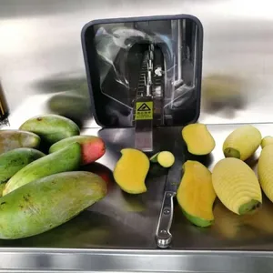 Pulping Machine for Mango Juice Production Line thumbnail-4
