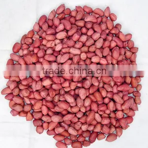 Chinese Peanut Suppliers thumbnail-3