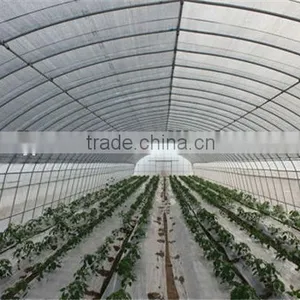 Poly Tunnel Greenhouse thumbnail-1