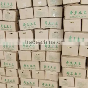 2015Anqiu Good Price of the Potato thumbnail-3