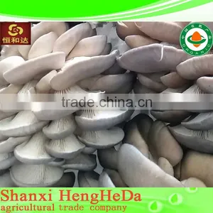 Fashion China Online Shopping Dry Mushroom thumbnail-1